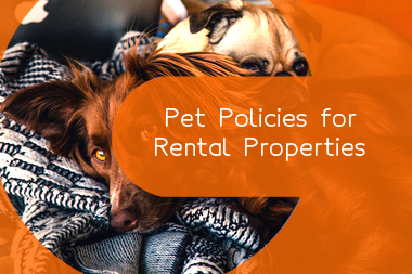 cats-vs-dogs-should-i-allow-pets-in-my-rental-property