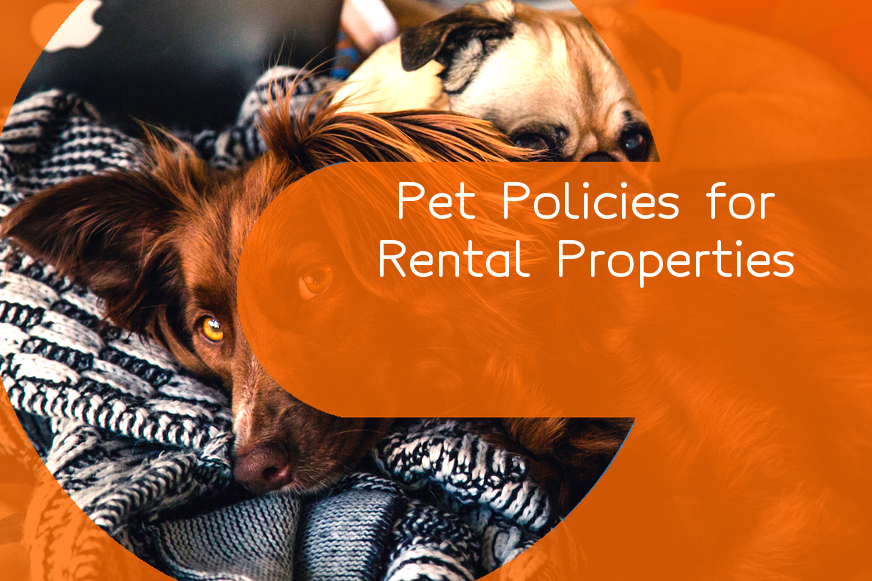 cats-vs-dogs-should-i-allow-pets-in-my-rental-property