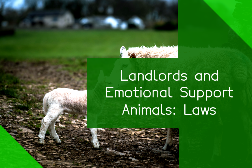 do-landlords-have-to-allow-emotional-support-animals-know-the-laws