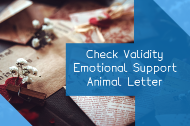 is-that-emotional-support-animal-letter-genuine-here-how-to-tell