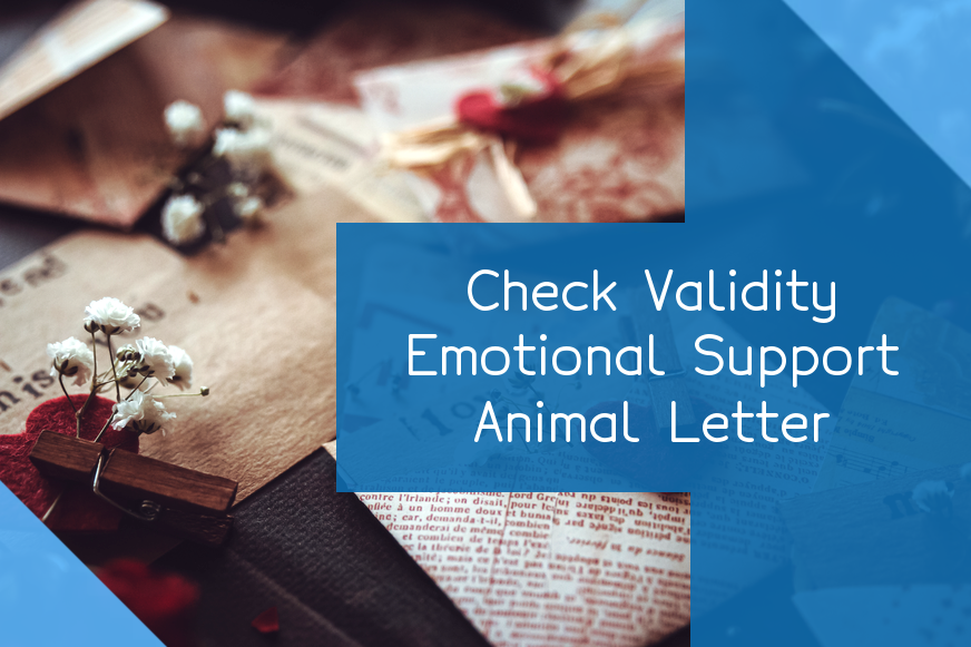is-that-emotional-support-animal-letter-genuine-here-how-to-tell
